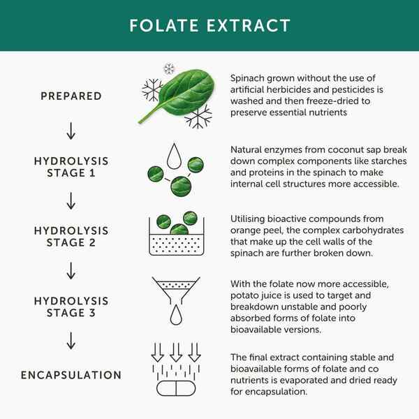 Together Health Folate 30 capsules natural folic acid - British product