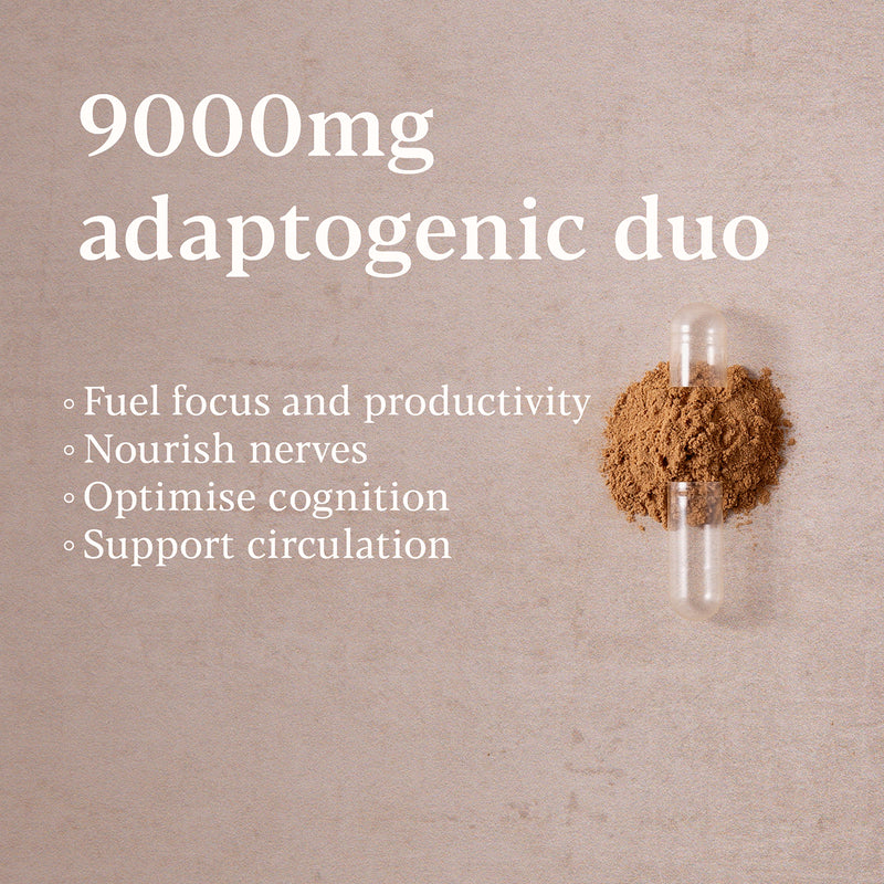 Lion's Mane Ginkgo nootropic blend 30 capsules, imported from the UK