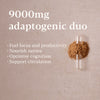 Lion's Mane Ginkgo nootropic blend 30 capsules, imported from the UK