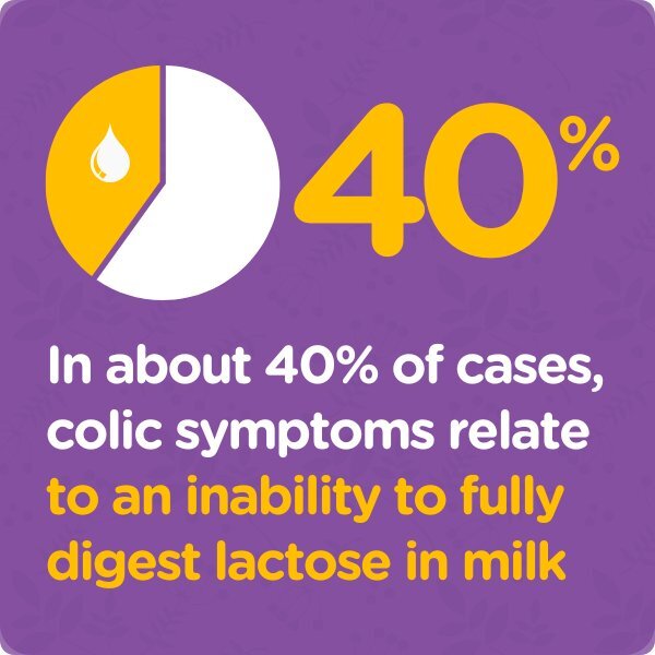 Colief Infant Lactase Enzyme Drops 15ml - McGrocer