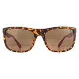 Superdrug Guess GU6843 Brown Polarised Men Sunglasses- Buy online at McGrocer