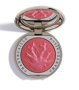 Harrods Chantecaille Cheek Shade Blush 2.5g- Buy online at McGrocer