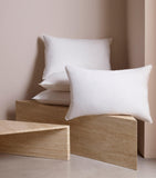 Savoir Medium Goose Down Pillow 50cm x 75cm (British brand)