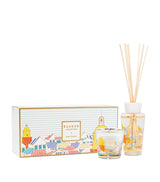 Harrods Baobab Collection My First Baobab À Saint-Tropez Scented Candle and Diffuser Gift Set- Buy online at McGrocer