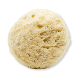 Holland & Barrett GentleSheep Wool Baby Sponge- Buy online at McGrocer
