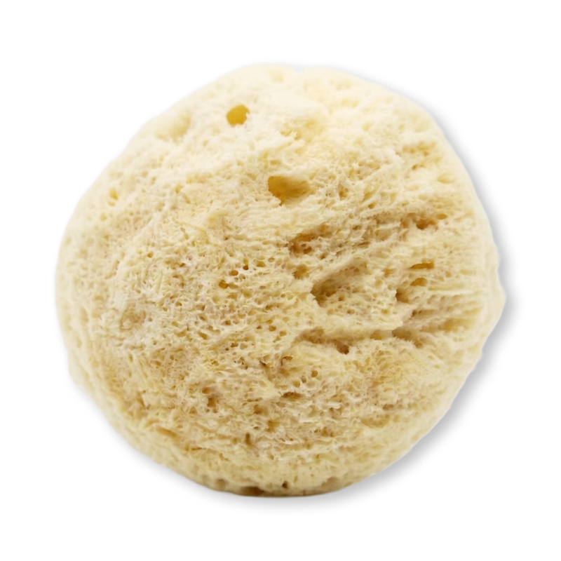 GentleSheep Wool Baby Sponge, imported from the UK