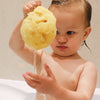 GentleSheep Wool Baby Sponge, imported from the UK
