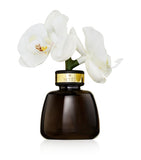 Senti Pepper & Spice The Little Orchid Diffuser 100ml (British brand)
