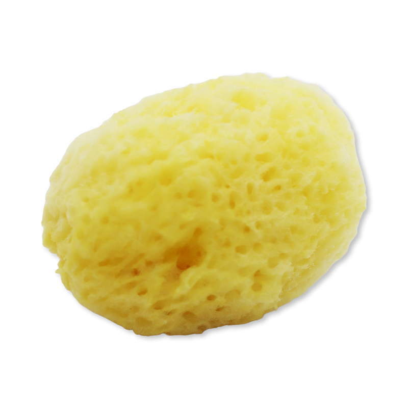 SpongeBox natural sea sponge 3-pack 2.5-3 inches, UK version