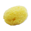 SpongeBox natural sea sponge 3-pack 2.5-3 inches, UK version