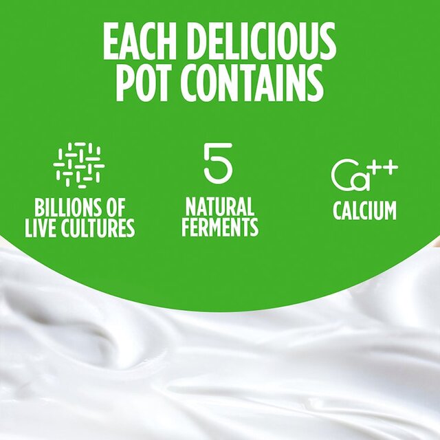 Activia Mango Strawberry Kiwi & Apricot Multipack Fruit Yoghurt   8 x 115g - McGrocer