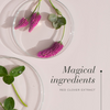 New Nordic red clover gummies 60 - British product