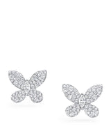 Harrods Graff White Gold and Diamond Butterfly Stud Earrings- Buy online at McGrocer