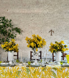 Summerill & Bishop linen Mimosa tablecloth 165cm x 380cm (British brand)