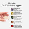 JERMS Daily Gut superfood powder 150g, UK version