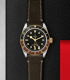 TUDOR Black Bay GMT stainless steel and yellow gold watch 41mm - British product