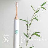 Truthbrush bamboo sonic toothbrush heads 4 pack (British brand)