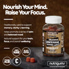 Nutrigums Lion's Mane Complex gummies 60 count, UK version