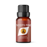 Superdrug Aroma Energy Scots Pine Essential Oil 10ml- Buy online at McGrocer