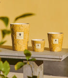 Baobab Collection Dove scented candle 190g - British product