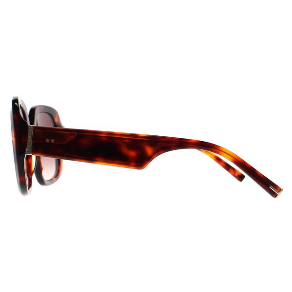 Ted Baker Catrina brown gradient sunglasses (British brand)