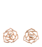 Harrods Piaget Rose Gold and Diamond Rose Earrings- Buy online at McGrocer