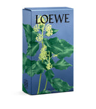 LOEWE Ivy room spray 150ml, UK version