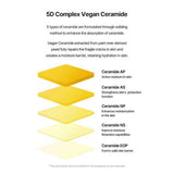 Torriden Solid In Ceramide Cream mini 20ml (British brand)
