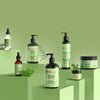 Mielle Rosemary Mint shampoo 355ml, imported from the UK
