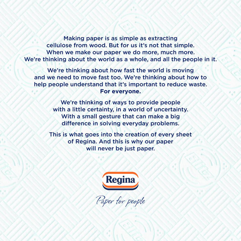 Regina Blitz Household Towel Triple Layered 100 Sheets , imported from the UK