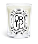 Harrods Diptyque Ortie Candle 190g- Buy online at McGrocer