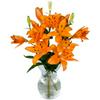 Sainsburys Vibrant La Lilies Bouquet
