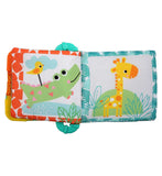 Bright Starts Teethe & Read Book Plush Baby Teether - British product