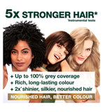 Garnier Nutrisse 4.3 dark golden brown hair dye British brand