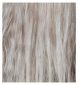 Bleach London Grey Violet Toner Kit - British product