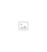 Boots Beauty Bakerie Cake Pop Lippies Matte Hydrating Lip Balm- Buy online at McGrocer