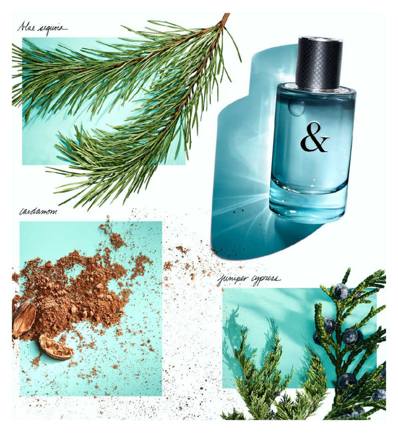 Tiffany & Love for Him Eau de Toilette 90ml (British brand)