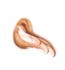 Anastasia Beverly Hills Lip Gloss - British product