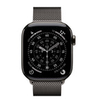 Apple smartwatch Titanium with Slate Milanese Loop 42mm - British product