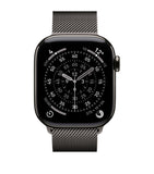 Apple smartwatch Titanium with Slate Milanese Loop 42mm - British product