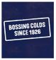Beechams Cold & Flu Hot Lemon & Honey powder 5 sachets - British product