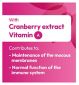 Bio-Kult Pro-Cyan Gut Supplement 45 Capsules - British product