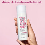 Briogeo Farewell Frizz smoothing shampoo 236ml - British product