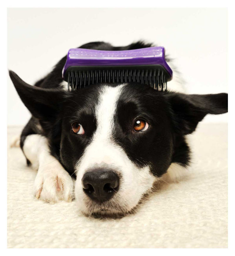 Tangle Teezer pet deshedding brush purple grey (British brand)