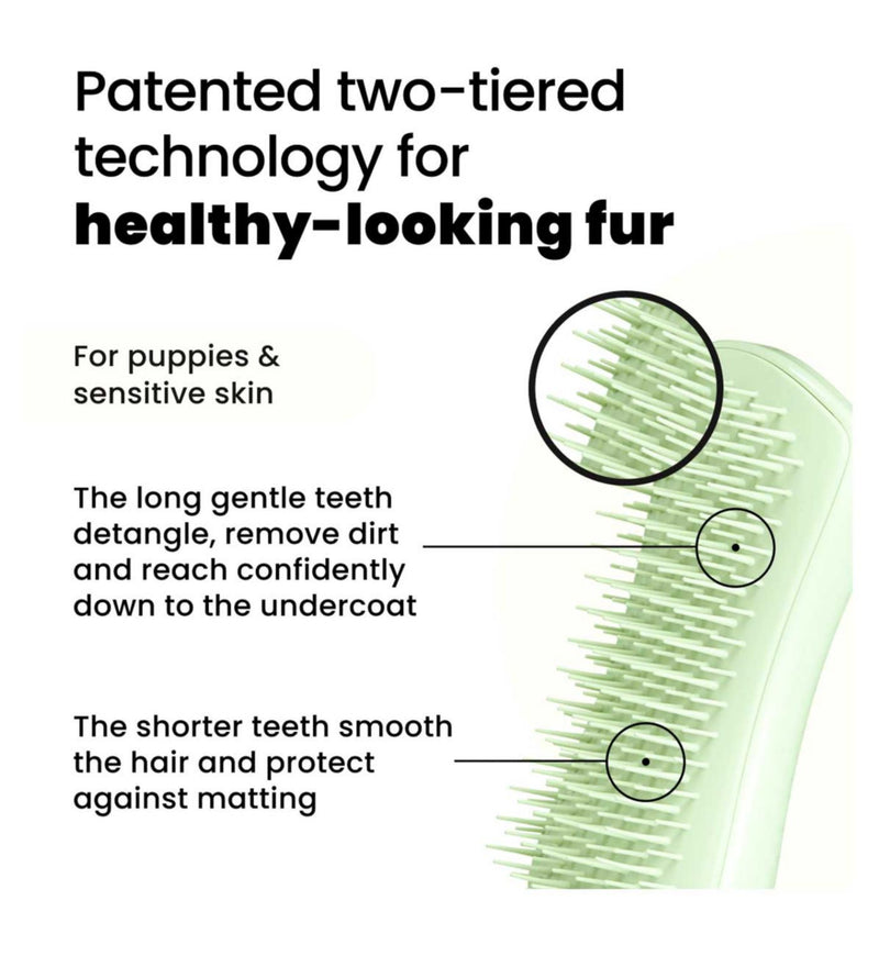 Tangle Teezer puppy brush green (British brand)
