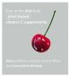 Botanycl plant-based vitamin C 60 capsules - British product