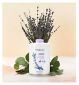 Yardley London English Lavender Body Powder 200g (British brand)