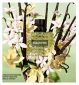 Valentino Born In Roma Green Stravaganza Donna Fragrance 100ml (British brand)