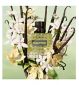 Valentino Born In Roma Green Stravaganza Donna Fragrance 100ml (British brand)
