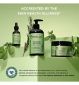 Mielle Rosemary Mint Scalp Oil, imported from the UK.